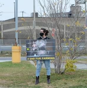 Meet your Posher, Rachel